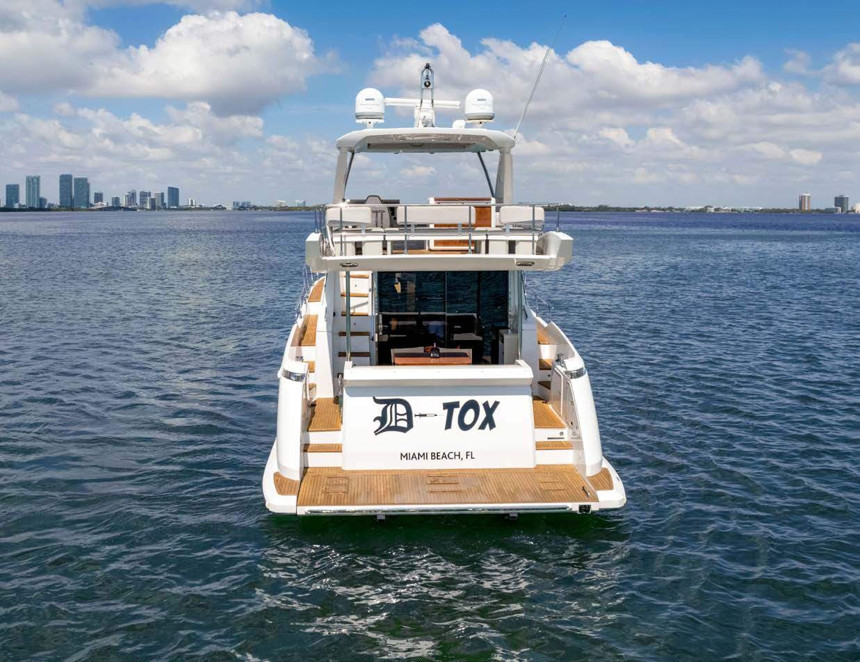 D-Tox — image 3