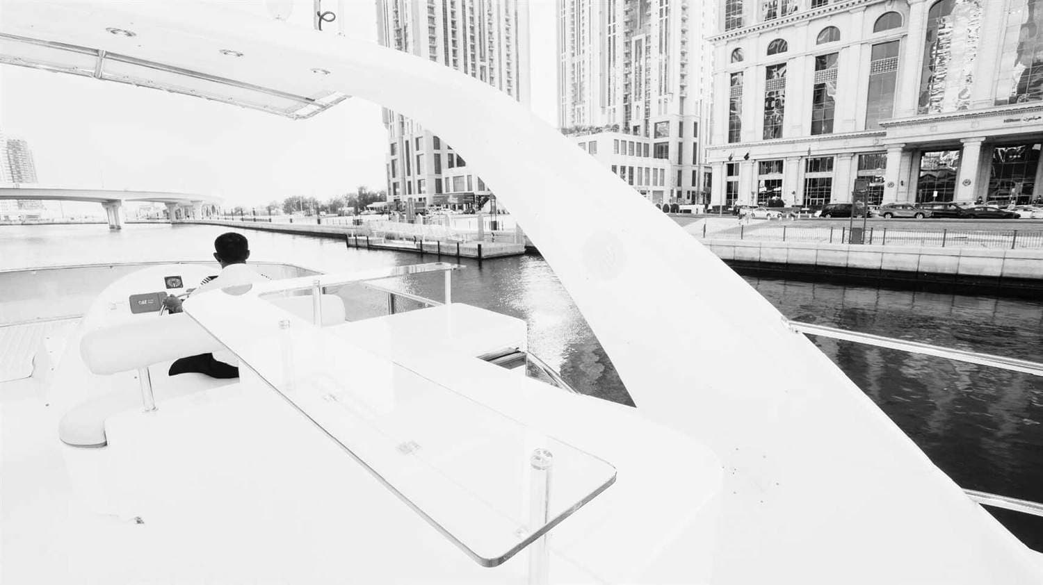 White Beast — image 9