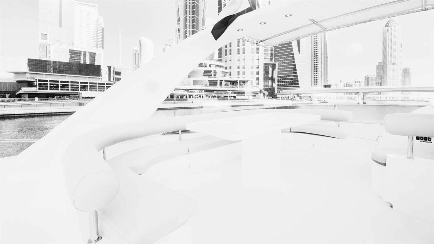 White Beast — image 11